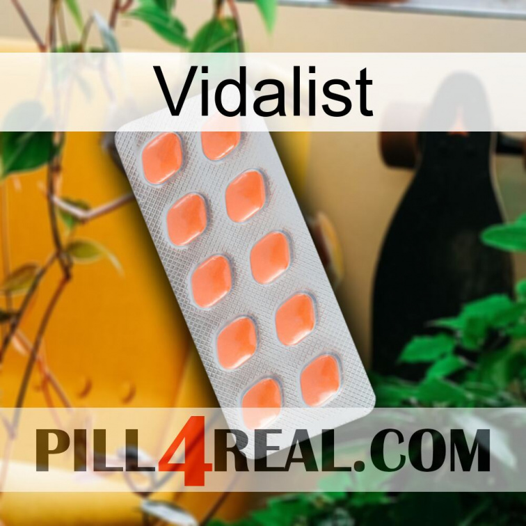 Vidalist 26